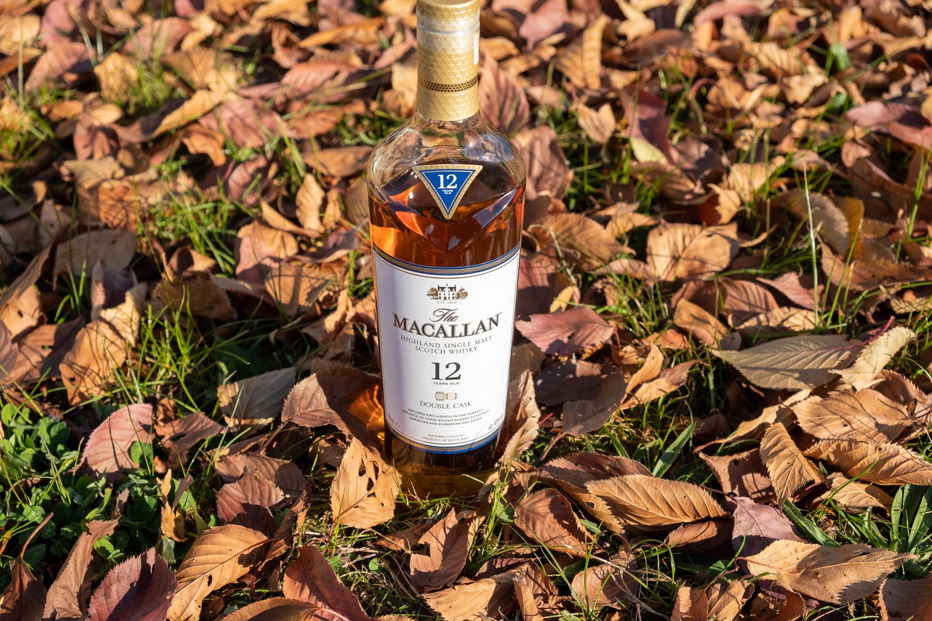 【ウイスキー界のロールスロイス】マッカランの味わい、飲み方を紹介 WhiskyFreaks(ウイスキーフリークス)